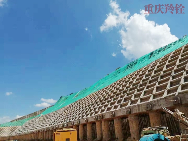 大渡河双江口水电站地下工程安全监测土建施工项目